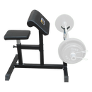 Preacher Curl Bench Weights Commercial Bicep Arms
