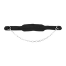 Dipping Dip Weight Lifting Belt