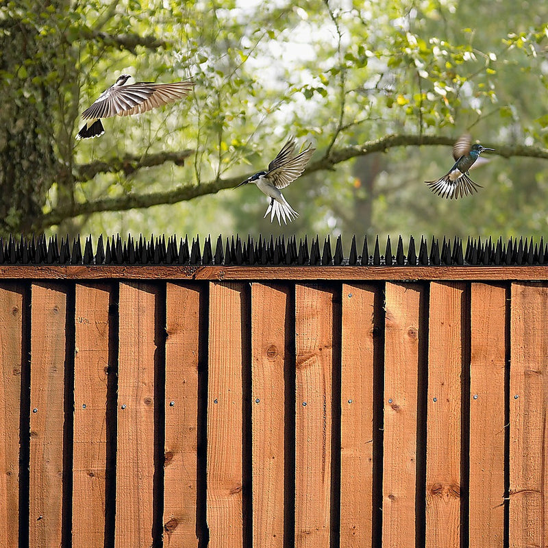 12pc Bird Spikes Human Cat Possum Mouse Pest Control Spiked Fence Wall Deterrent