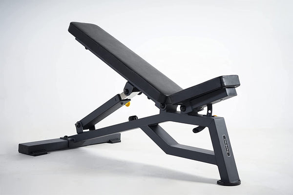 Sardine Sport Heavy Duty Bench Foldable Adjustable Commercial Grade Capacity 450kg (Black)
