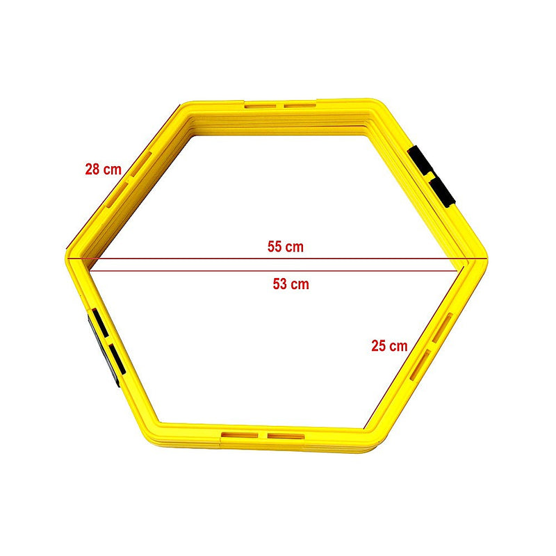 Fitness Agility Grid System