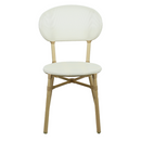 Skyler Style-savvy Outdoor Dining Chair Set of Two White