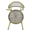 Skyler Style-savvy Outdoor Dining Chair Set of Two Dark