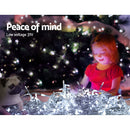 100M Christmas Lights String Fairy Light 500 LED Cool White Jingle Jollys