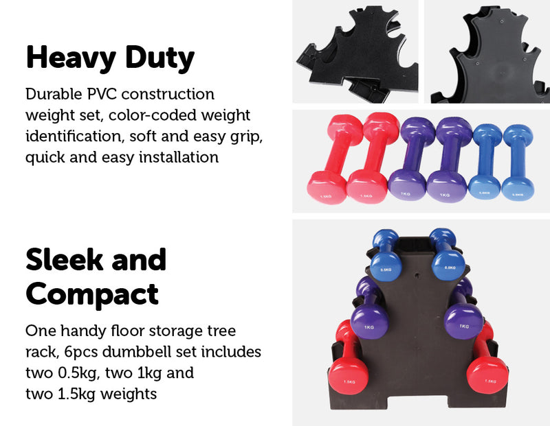 6-Piece Dumbbell Set with Rack